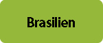 Brasilien turist info