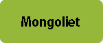 Mongoliet turist info